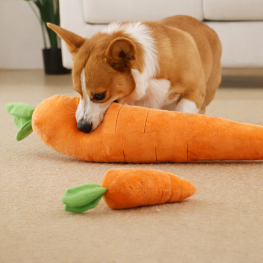Carrot Squeaky Plush Toy Dog Interactive Toy