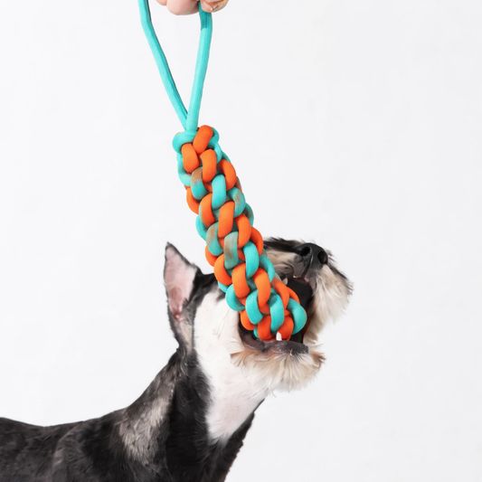 Braided Rope Stick Tug Dog Toy - Color Clash