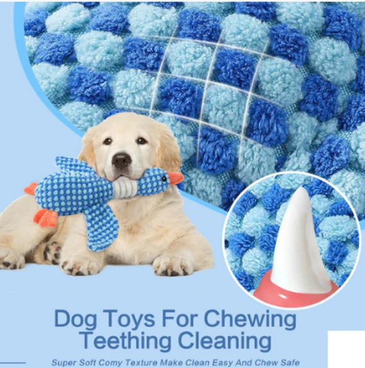 Dog Chew-Resistant Toy with Squeaker - Bird